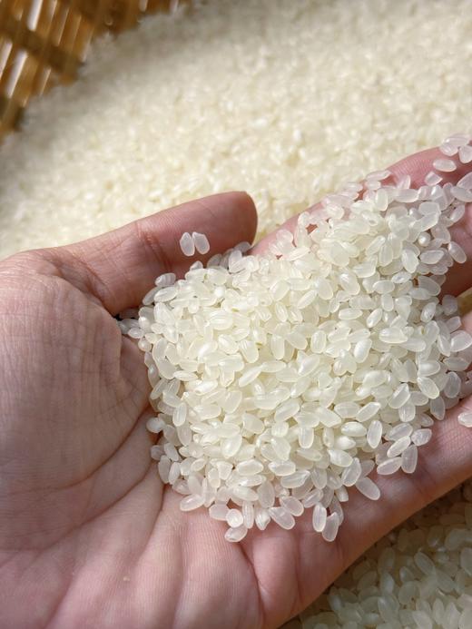 辽宁有机蟹田米49元1袋10斤装，明天到 商品图4
