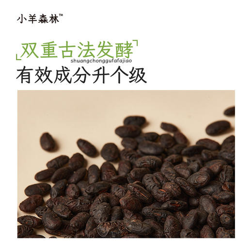 「葱豉汤」  降温小感 小袋包装 方便保存 商品图4