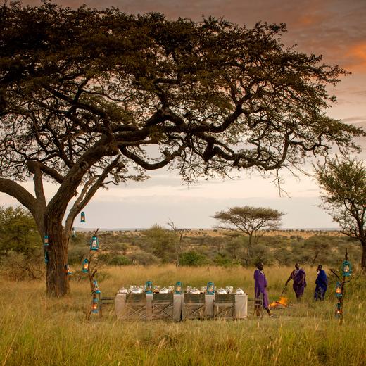 5天4晚【坦桑尼亚塞伦盖蒂四季 | Four Seasons Serengeti】2026全年可用！四季司导专车游猎、每日三餐酒水、丰富儿童活动、内陆段往返机票及VIP接送机，安心深度领略东非草原心脏 商品图14