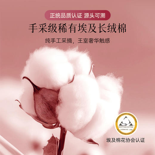 2025年新款雅芳婷100S埃及长绒棉床上四件套全棉蕾丝被套床单套件 商品图1