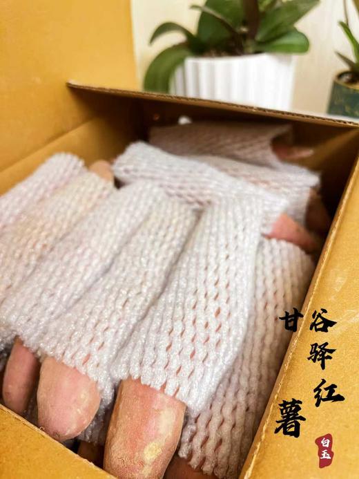 延安甘谷驿红薯 奶油白玉 细腻香甜 商品图2