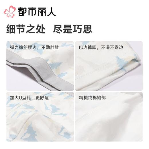 都市丽人男童童装内裤棉质平角裤中腰平角男童内裤JKCBA6 商品图3
