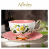 英国 Aynsley安斯丽   色釉山茱萸系列奥本一杯一碟 商品缩略图3