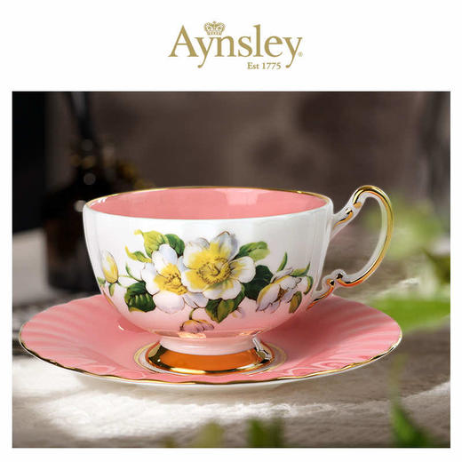 英国 Aynsley安斯丽   色釉山茱萸系列奥本一杯一碟 商品图3