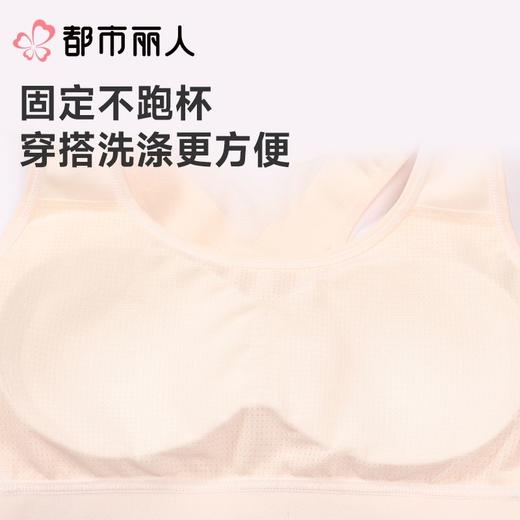 都市丽人女士内衣泳布少女文胸无钢圈二排三扣BBC23C 商品图3