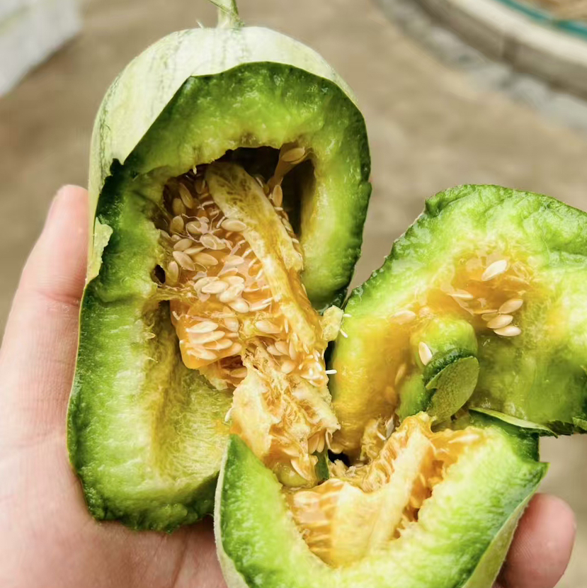 【蜜七七新品妙脆角酥瓜】健康瘦身水果伴侣，香甜爽口，清脆爽口，富含维生素，矿物质，不一样的味道