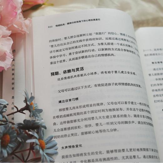 万千心理·情感肌肉：精神分析视角下的心理发展基石 商品图6