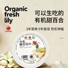 兰州百合【首发】 商品缩略图1