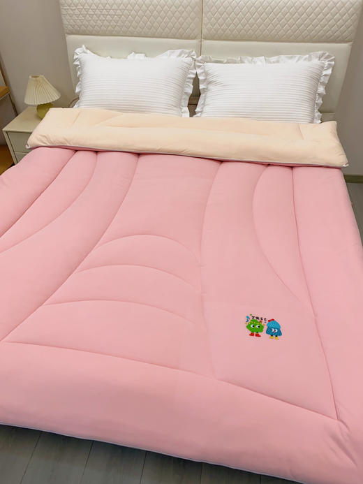 松植屋糖果单人抱抱被 A类大豆冬被子学生宿舍冬季被芯大豆纤维亲肤透气 商品图3