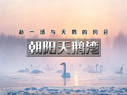 元旦2日【朝阳天鹅湾】行摄朝阳天鹅雪舞飞扬の天鹅湖的夕阳和日出-畅游锦州奉国寺-辽西九华山 商品图0