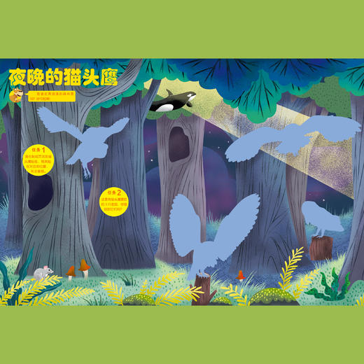 《环球少年地理》 幼儿版2026年12期，每期配套《动物总动员》游戏书，共24本 商品图9