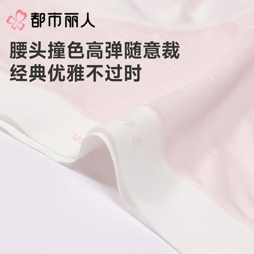 都市丽人女士内裤天丝棉平角裤木代尔系列LKC5H5 商品图4