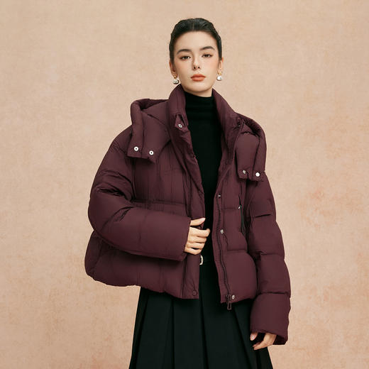 QR002斯尔丽25新款冬季连帽短款休闲面包服宽松加厚90绒时尚减龄羽绒服 商品图0