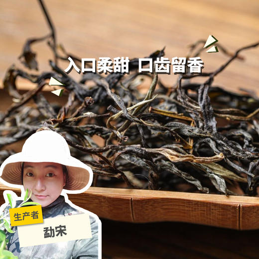 生态古树生普茶  | 合作生产 * Eco-Sampu tea | Coproduction 商品图0