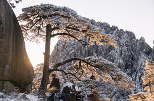 春节这么过才有意思！带娃走进徽州东方美学，跟大咖游水墨宏村、看黄山四绝；做客徽州人家，吃落昏、打食挑、讨红包；舞鱼灯、做糕点、剪窗花，泡汤泉……讲100遍美学定义，不如带娃去一次徽州！ 商品图5
