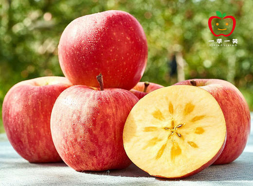 新疆阿克苏冰糖心苹果 果汁浓郁 清甜香脆 顺丰快递发货 商品图0