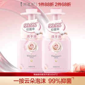 蒂姆森抑菌洗手液550ml*2 护手留香快速去污抑菌 （蒂姆森是阿道夫集团的子品牌）