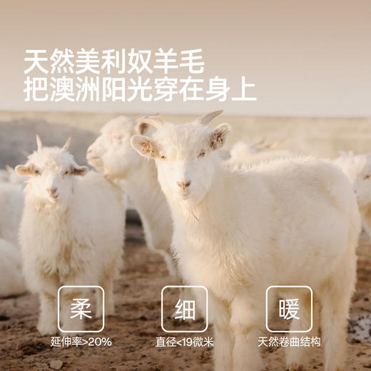 明星同款【小野和子】羊毛棉裤袜第2代 商品图2