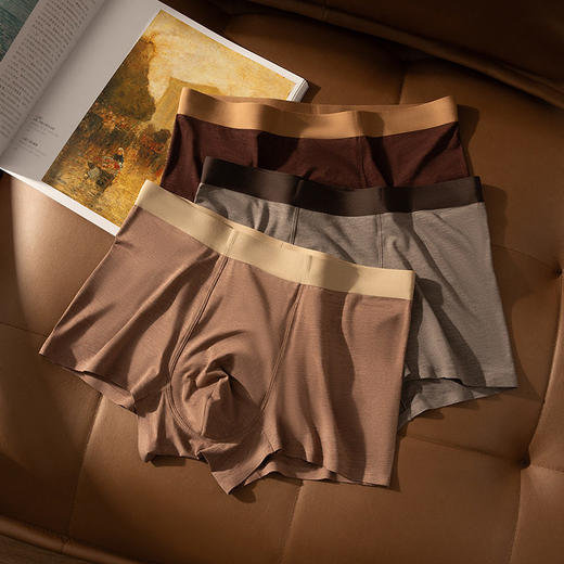 XN-ML882  【1条】80S竹纤维彩纱男士内裤10A桑蚕丝抗菌平角裤短裤 商品图1