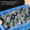 爱莓庄鲜梗蓝莓18mm+  150g/盒 商品缩略图4
