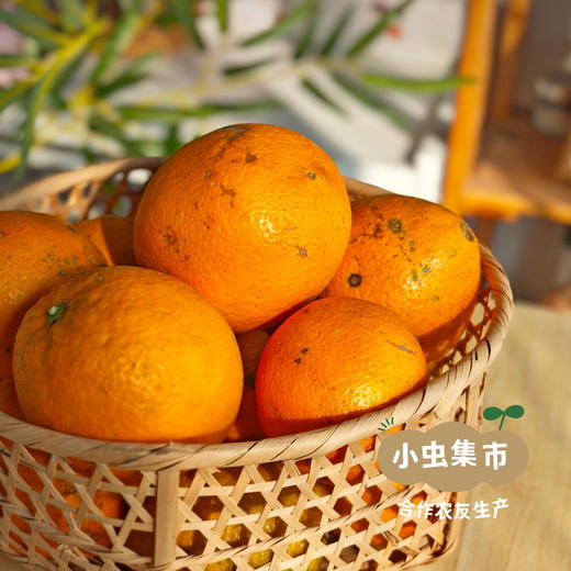 乾青园·生态赣南脐橙 5斤/9斤/19斤 | 合作农友生产，来自江西赣州，生产者：喻声胜 *【公平贸易农人定价】 商品图8