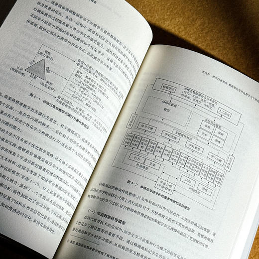数智时代的精准教学 闵行实践与探索 朱靖 数据驱动的大规模因材施教 商品图10