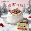 烤爱【草莓季】·踏雪寻梅·草莓 开心果生日蛋糕 生日蛋糕系列 下午茶聚会生日节日【仅限深圳同城配送】 商品缩略图0