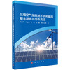 压缩空气储能地下内衬硐库基本原理与分析方法 商品缩略图0