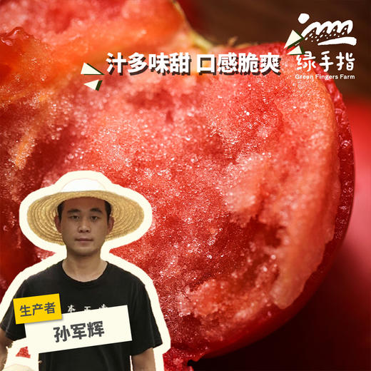 生态西红柿（北京） 合作生产*Ecological tomato| Partner Production 商品图0