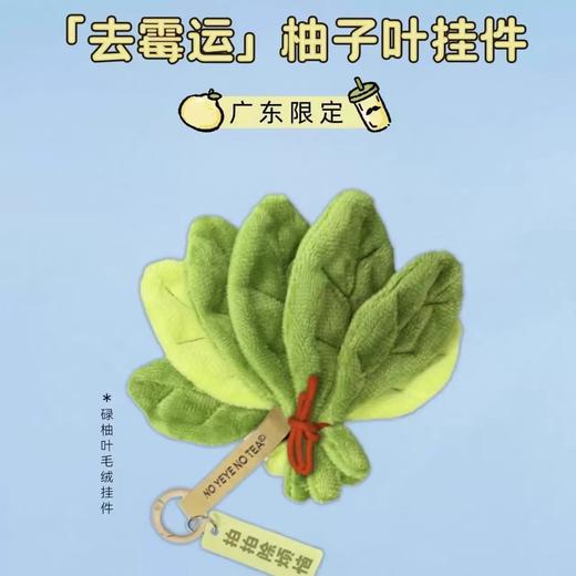 【触感柔软❗️扫除霉运】柚子叶手工挂件祈福去霉运寓意美好可悬挂车内家居装饰随身携带。jb 商品图3