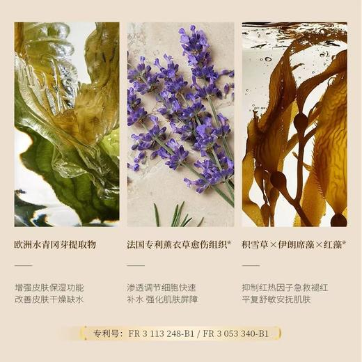 sacellec beaute 进口臻宠晒后修护面霜 保湿面霜秋冬滋润补水修复干皮肤屏障受损修护舒缓泛红男女士 商品图4