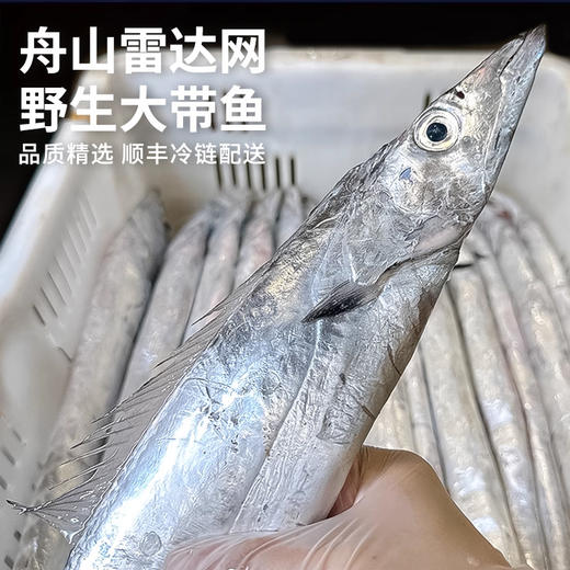 【舟山雷达网 野生大带鱼】 无需去鳞！舟山原产地发货 顺丰冷链配送 整条套袋 独立包装 无冰净重（中带，大带，顶带可选） 商品图2