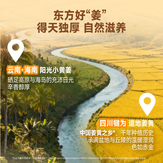 【迈胜星球 | 迈胜每日蛋白-姜撞奶味】 180mL*15瓶/箱 商品图4