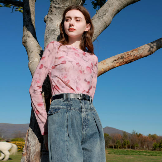 三彩独醒2026春季新款网纱印花T恤圆领正肩长袖上衣内搭修身甜酷F 商品图3