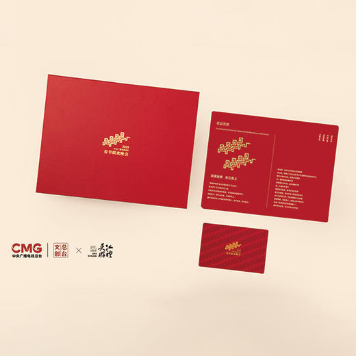 2026春晚真丝拉绒长巾 商品图2