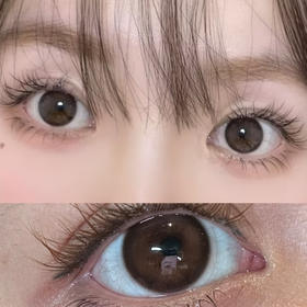 laseecon小香猪（日抛）