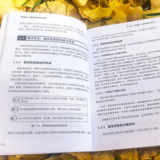 银发经济 : 中国式养老的商业化突围 商品图2