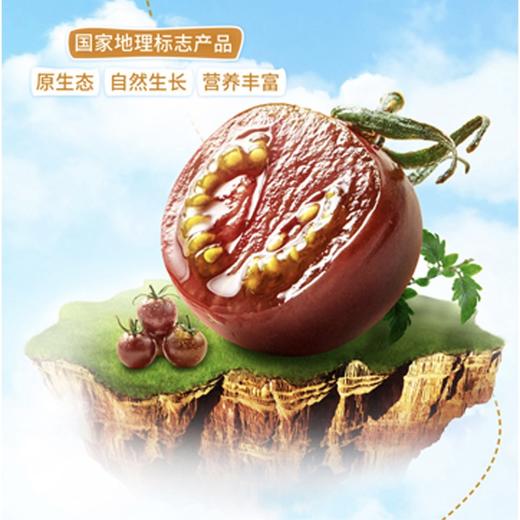 100%天然高台黑番茄原浆10包 商品图1