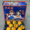 【好吃的品牌耙耙柑来喽】橘子味浓郁，纯甜（甜），水嫩多汁，明星爆款产品 商品缩略图9