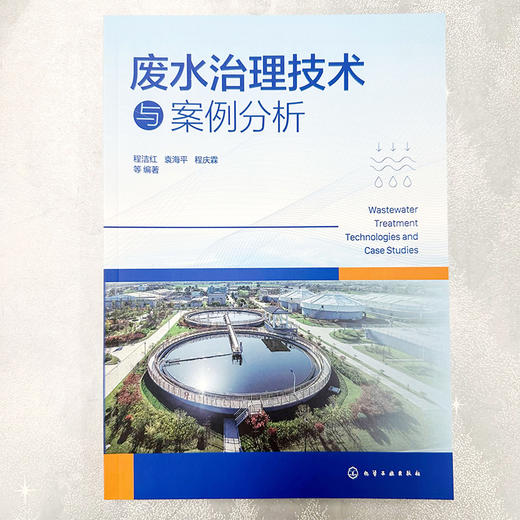 废水治理技术与案例分析 商品图2