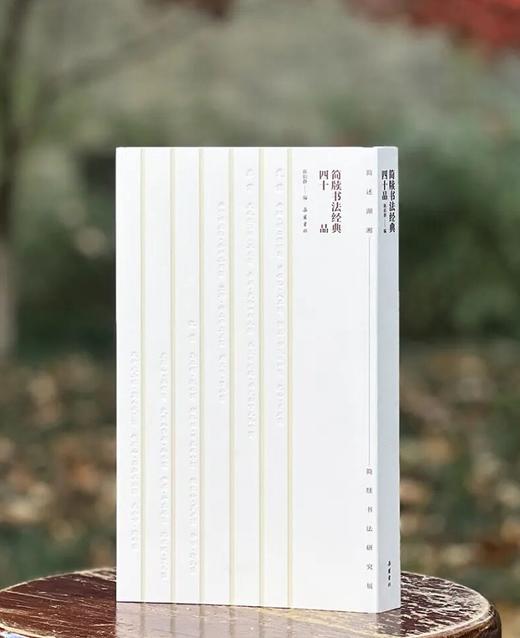 【重磅推荐】《简牍书法经典四十品》，精装，大16开，陈阳静主编，岳麓书社2025年11月一版一印，384页，定价398，售价198元 商品图0
