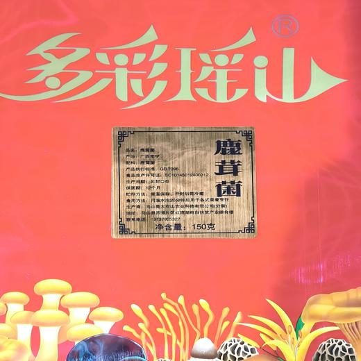 【大石山】多彩瑶山鹿茸菌150g 商品图1