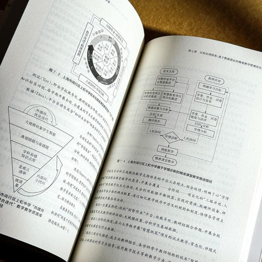 数智时代的精准教学 闵行实践与探索 朱靖 数据驱动的大规模因材施教 商品图13