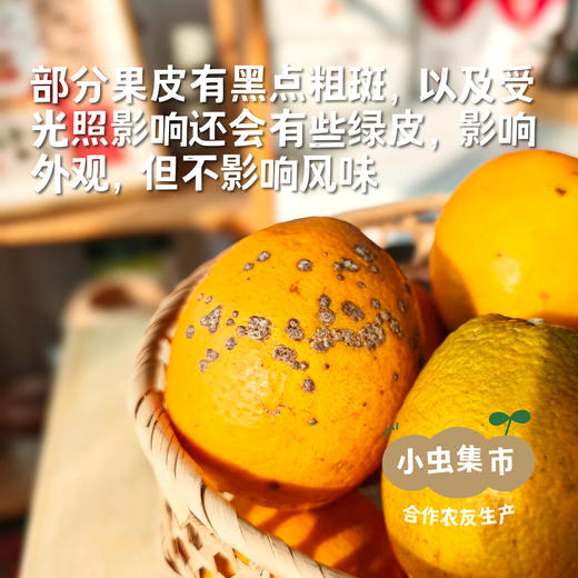乾青园·生态赣南脐橙 5斤/9斤/19斤 | 合作农友生产，来自江西赣州，生产者：喻声胜 *【公平贸易农人定价】 商品图1