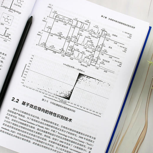 城镇水系统新污染物筛检与控制 商品图9