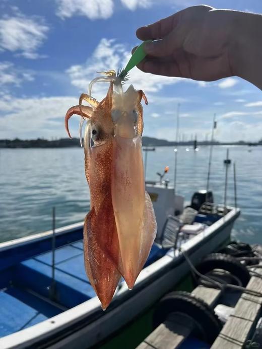 & 招牌鲜甜特色小管🦑~脆爽好吃，鲜美无敌！活冻 商品图10