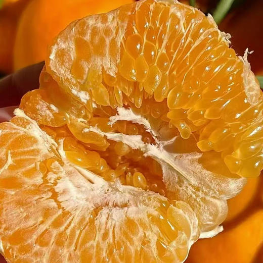 【好吃的品牌耙耙柑来喽】橘子味浓郁，纯甜（甜），水嫩多汁，明星爆款产品 商品图10