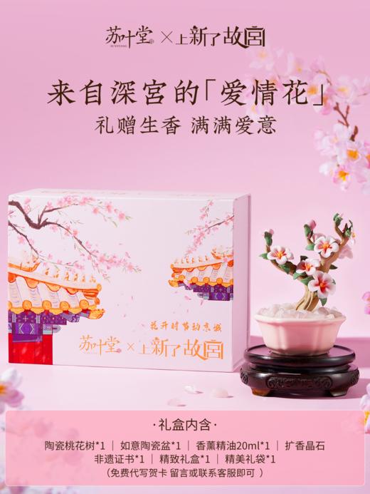 上新了故宫·苏叶堂-陶瓷花盆景故宫礼盒 商品图6