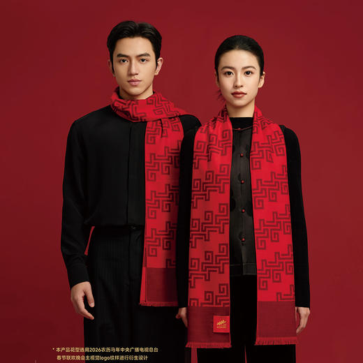 2026春晚真丝拉绒长巾 商品图4