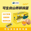 小鸡海蒂可生食·山养鲜鸡蛋30枚-XJ 商品缩略图0
